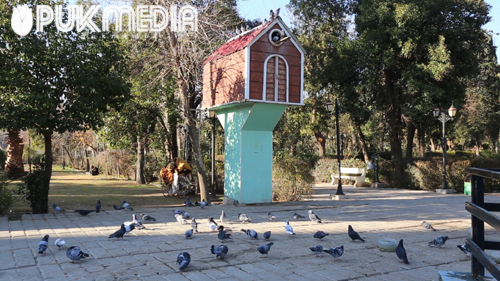 الطيور... دعوة للسلام في الحديقة العامة بالسليمانية